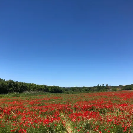 Chez Georges - Maison 3 - Les Du Verdon Nyaraló