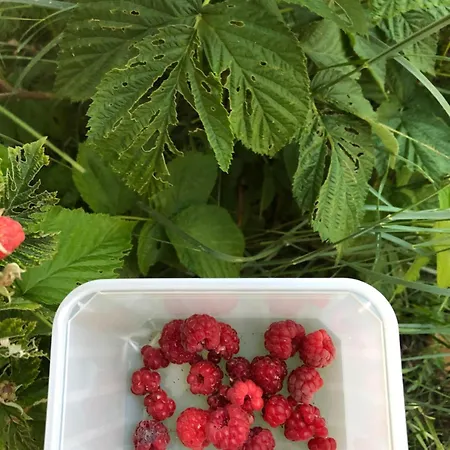 Nyaraló Chez Georges - Maison 3 - Les Du Verdon *